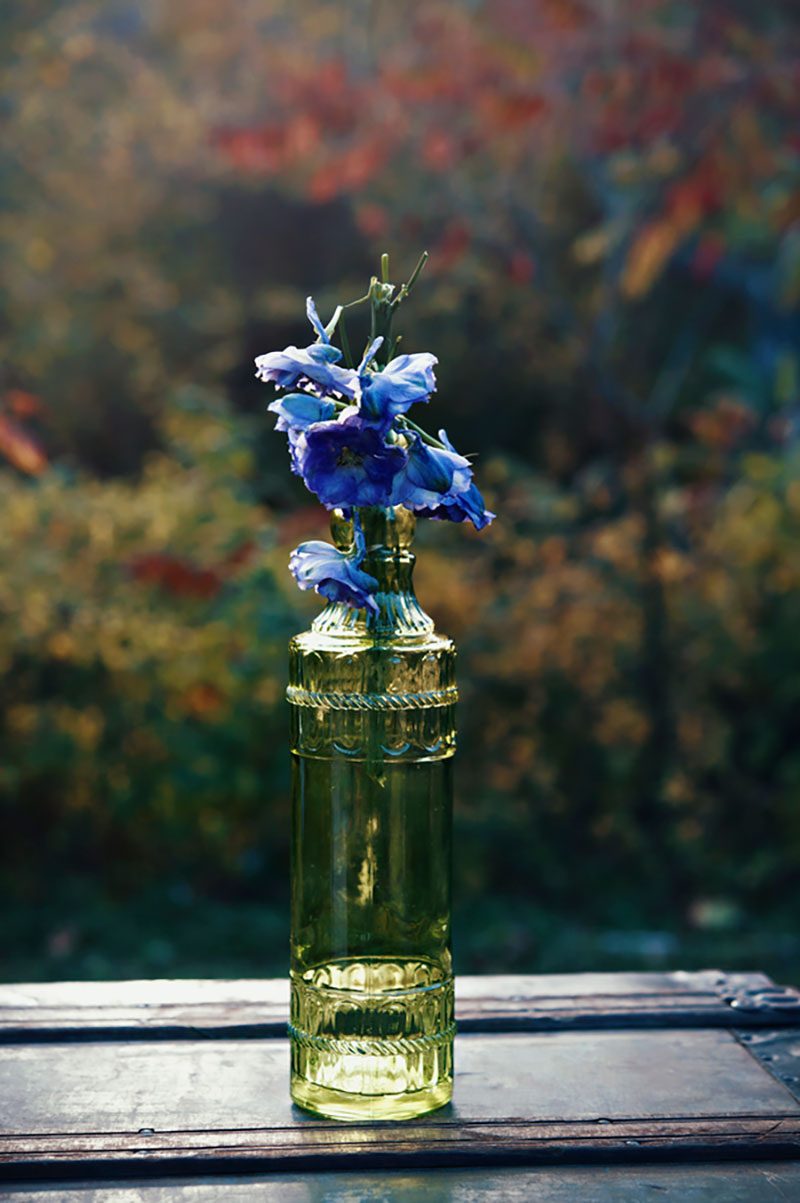 Alice party inspiration