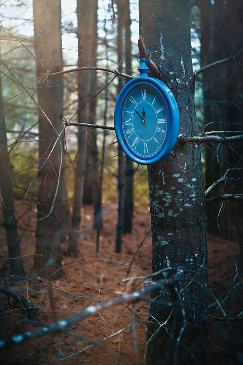 Alice in wonderland wedding ideas