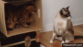 6 ways to help an introverted friend find love (or to help yourself!)