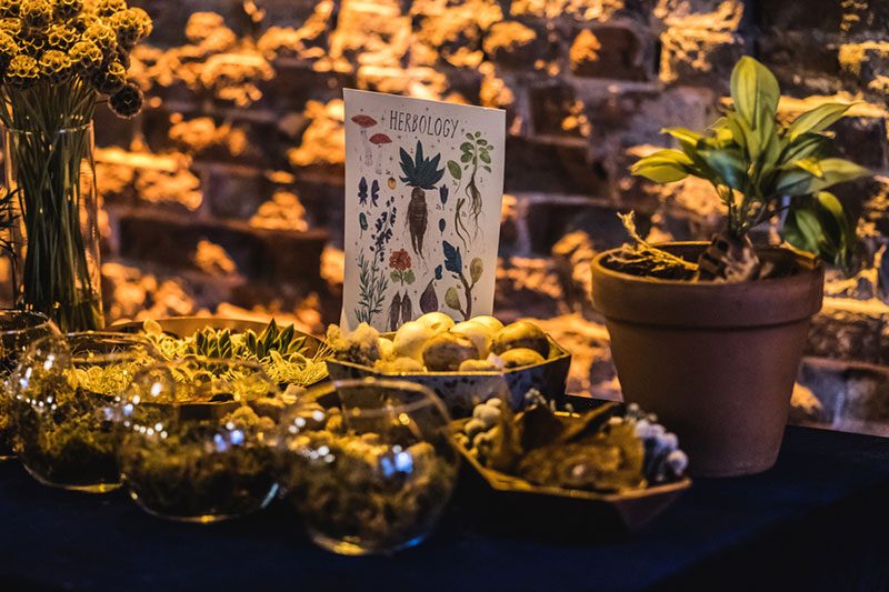 Accio magical Hogwarts-themed party (to benefit a couple adopting a child!)