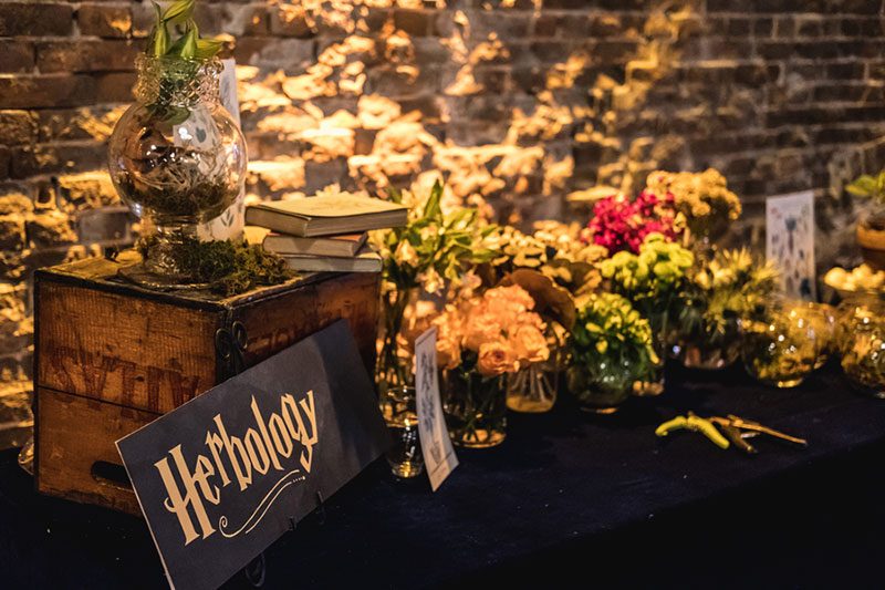 Accio magical Hogwarts-themed party (to benefit a couple adopting a child!)