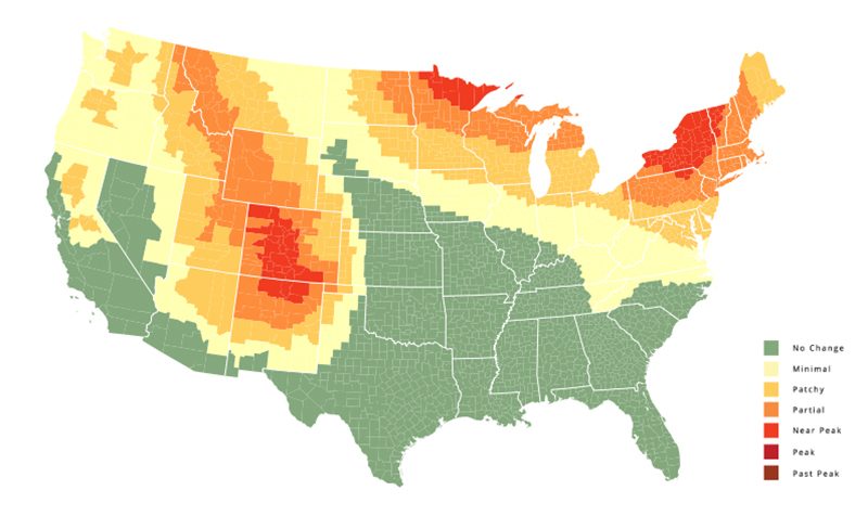 This fall foliage map will tell you when fall will be in full swing in ...