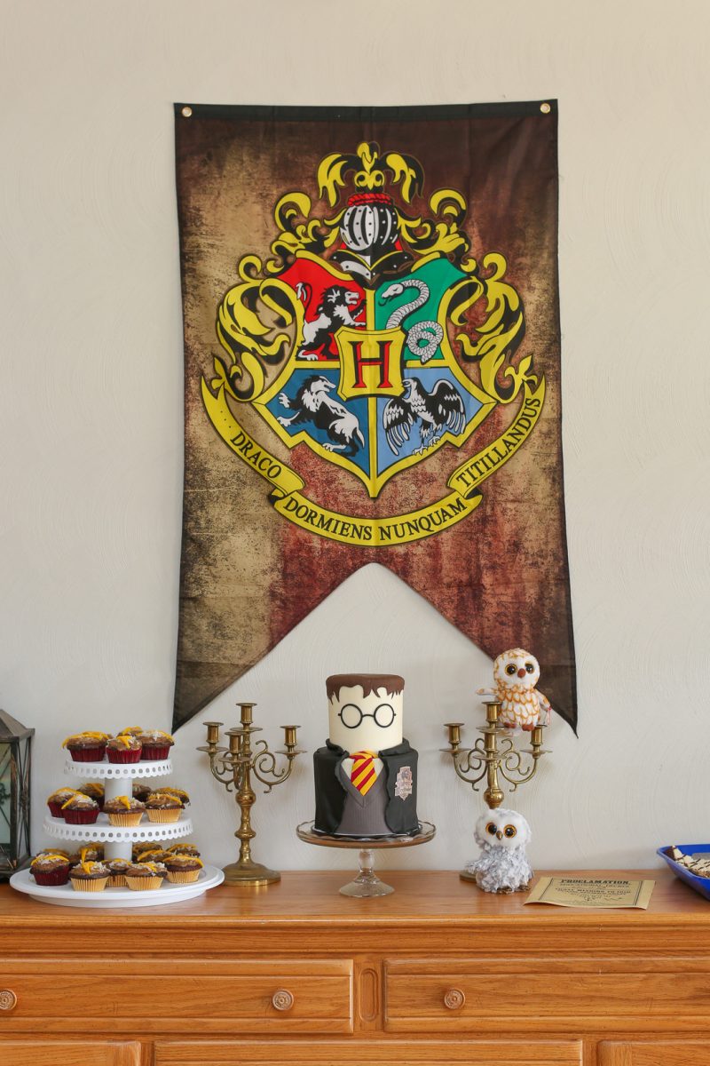 We are STUPEFIED by this Harry Potter birthday party with the most magical cake ever