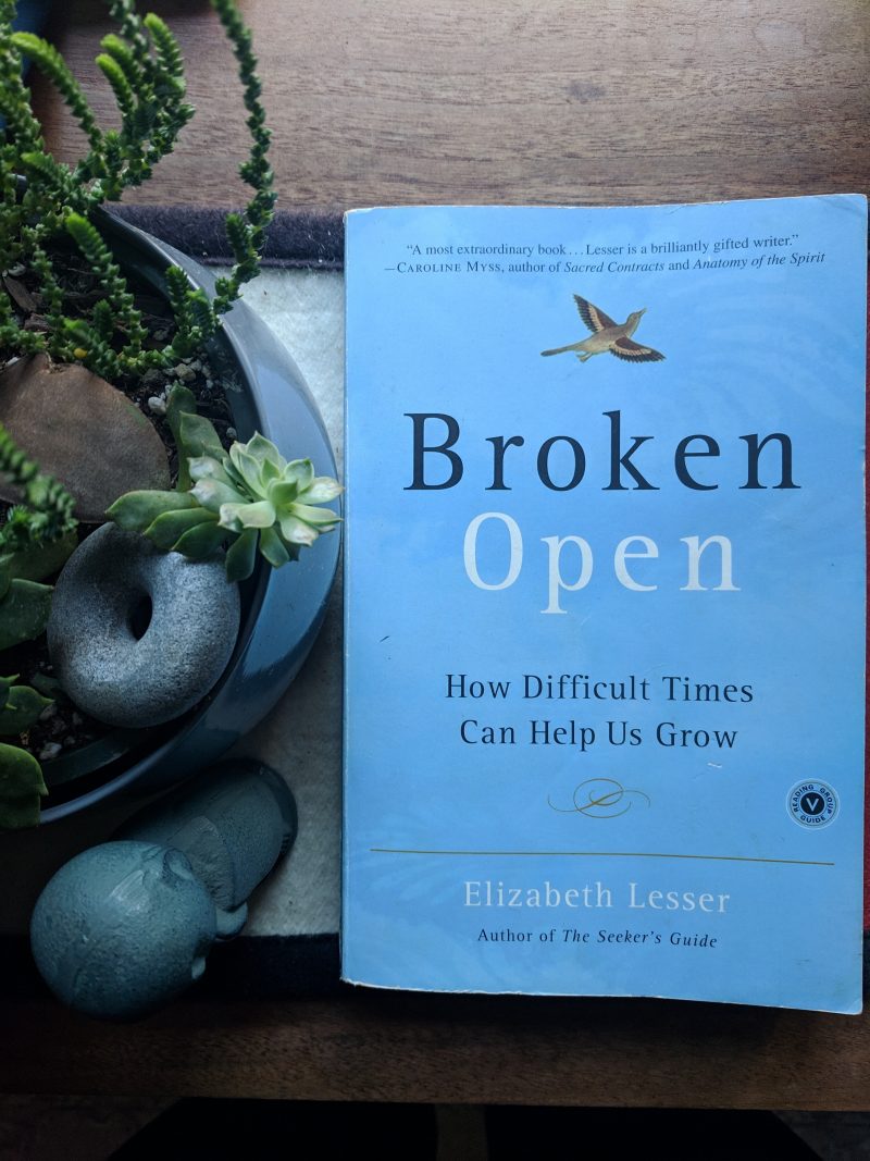 resilience books on offbeat home 5